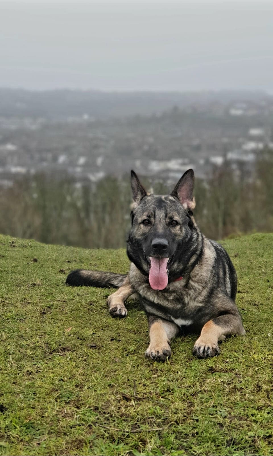 LUNA - KENT LUNA - KENT